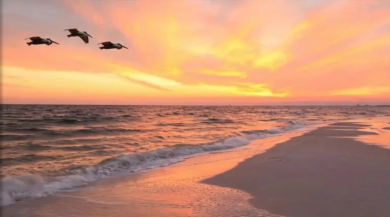 Sunset Shore