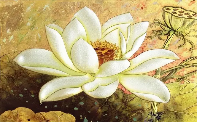 White Lotus and Seed Pod